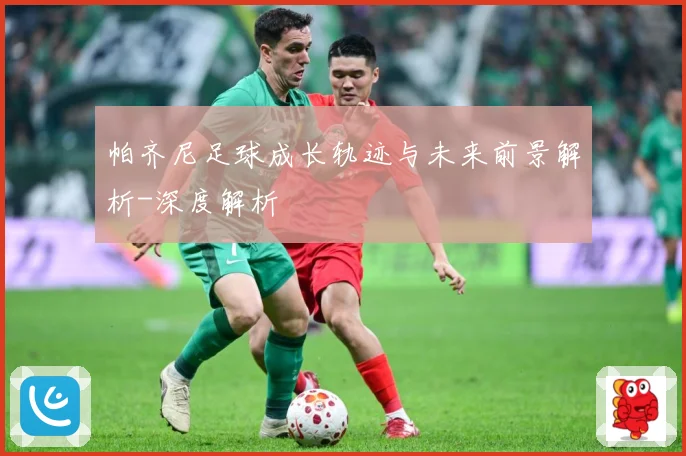 帕齐尼足球成长轨迹与未来前景解析-深度解析
